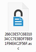Значок файла с открытым ключом